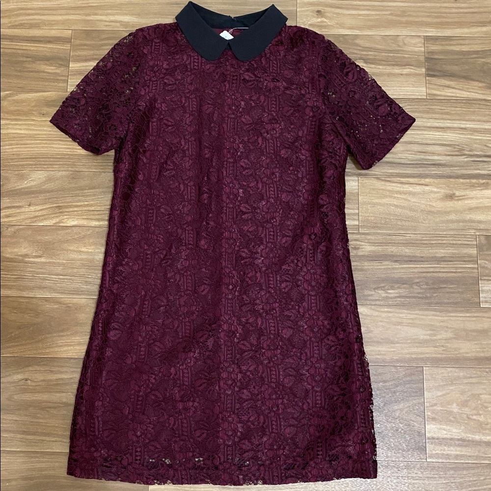 Lace with peter pan neck dress brand new